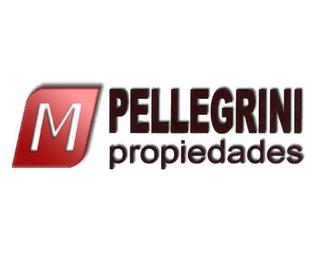 Pellegrini Prop