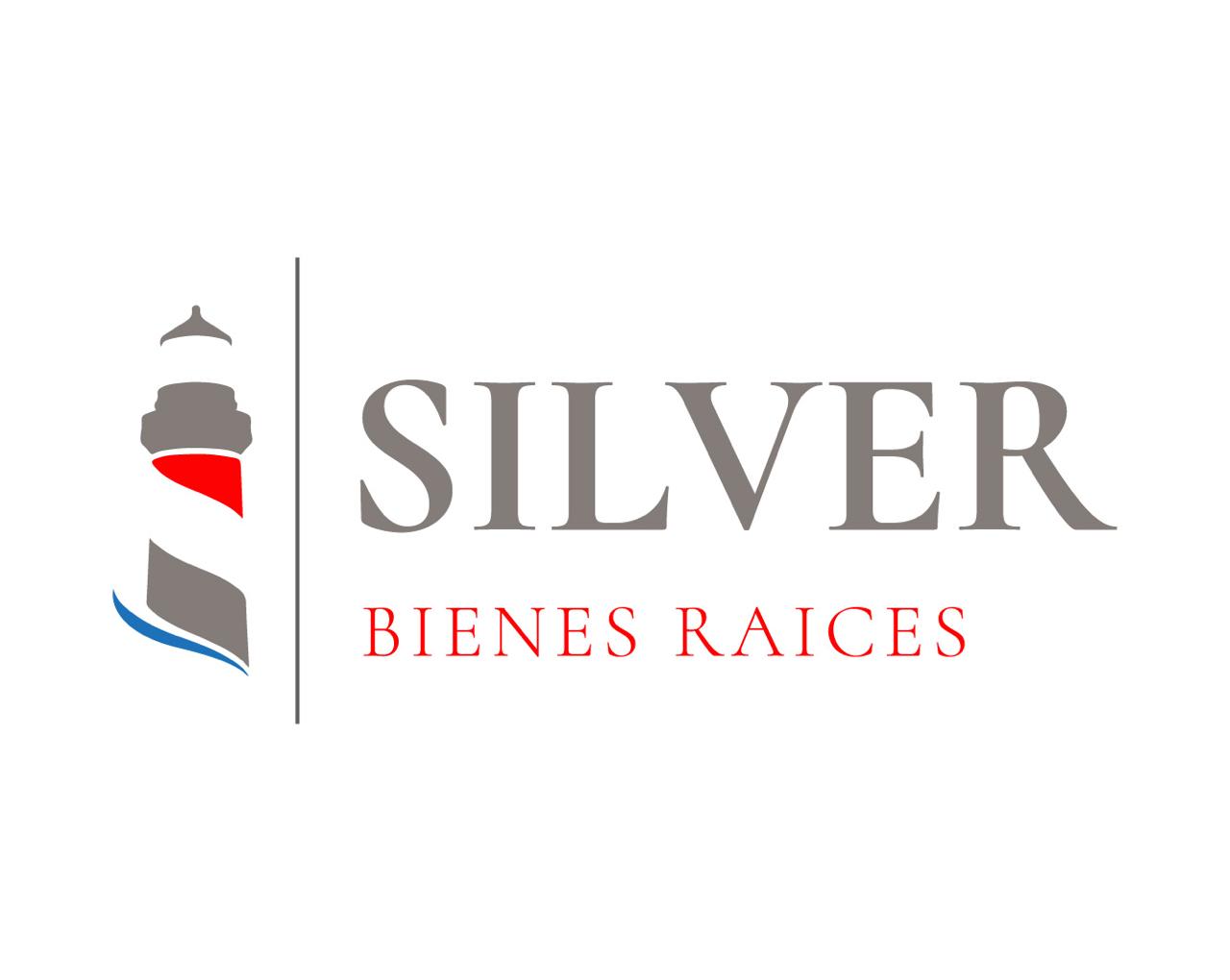 Silver Bienes Raices