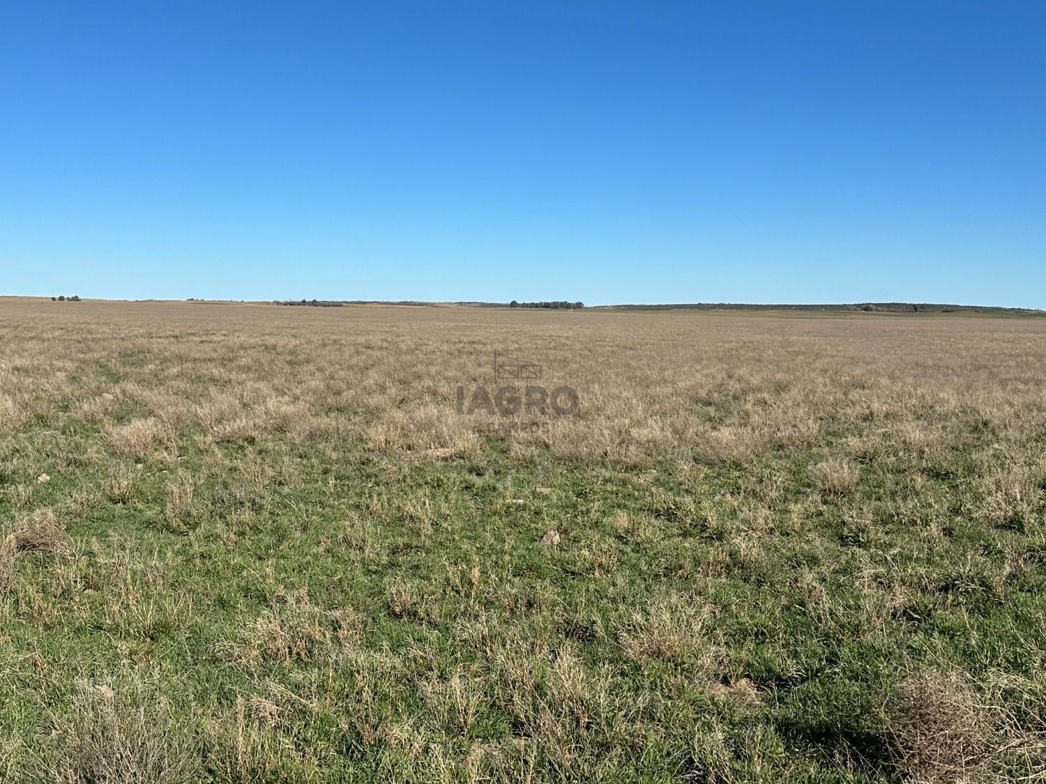 Campo  en Venta en Partido De Villarino,  Villarino - Bahía Blanca Propiedades | SITIO OFICIAL l