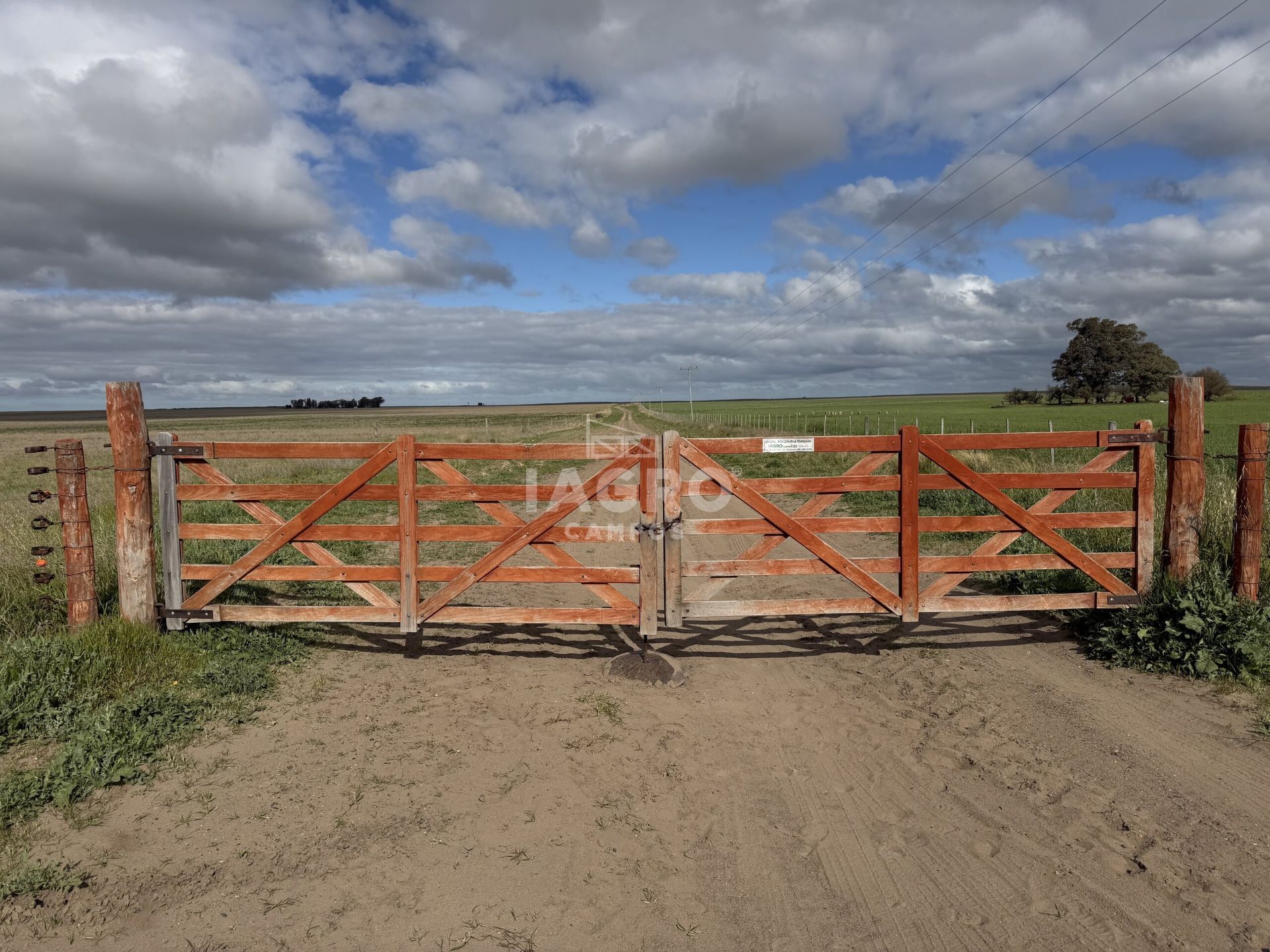 Campo  en Venta en Stroeder,  Stroeder - Bahía Blanca Propiedades | SITIO OFICIAL l
