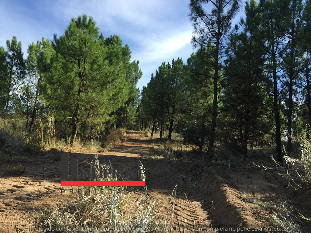 Terreno en Venta   Pehuen Co - Bahía Blanca Propiedades | SITIO OFICIAL l