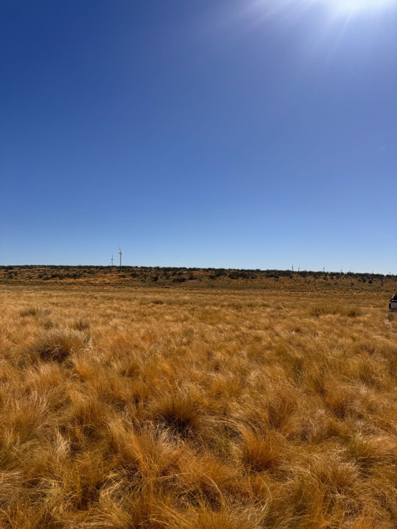Campo  en Venta en RUTA 33 ,  Tornquist - Bahía Blanca Propiedades | SITIO OFICIAL l