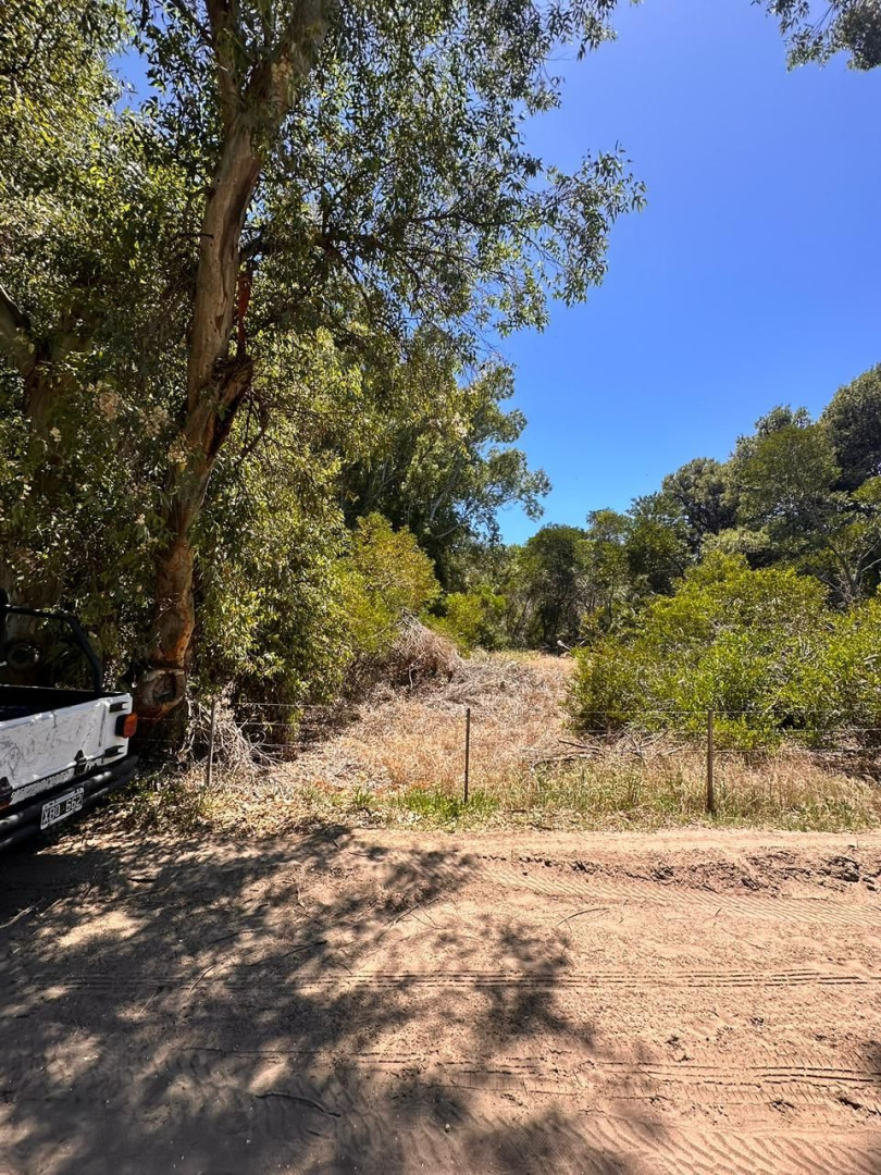 Terreno en Venta en Rodriguez Peña Y Quintana , El Sauce, Monte Hermoso - Bahía Blanca Propiedades | SITIO OFICIAL l