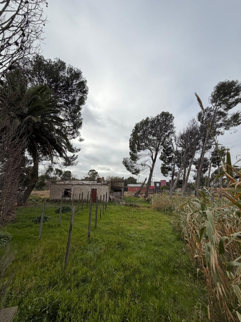 Terreno en Venta en Profesora Herminia Abat Y Matheu, Altos del Pinar, Bahía Blanca - Bahía Blanca Propiedades | SITIO OFICIAL l