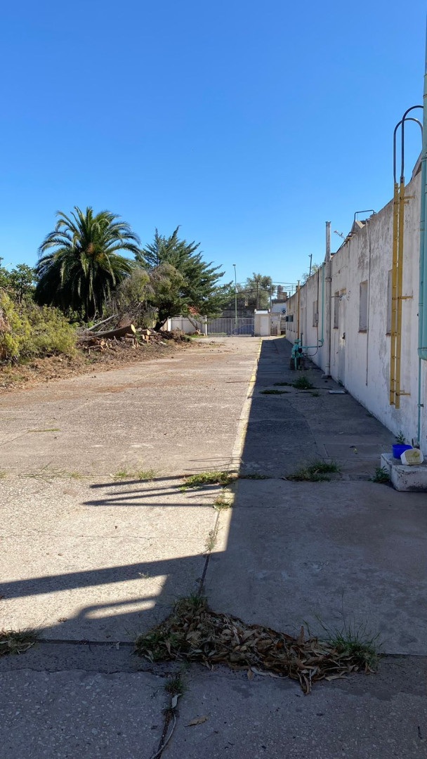 Terreno en Alquiler en Undiano 1508, San Martin, Bahía Blanca - Bahía Blanca Propiedades | SITIO OFICIAL l