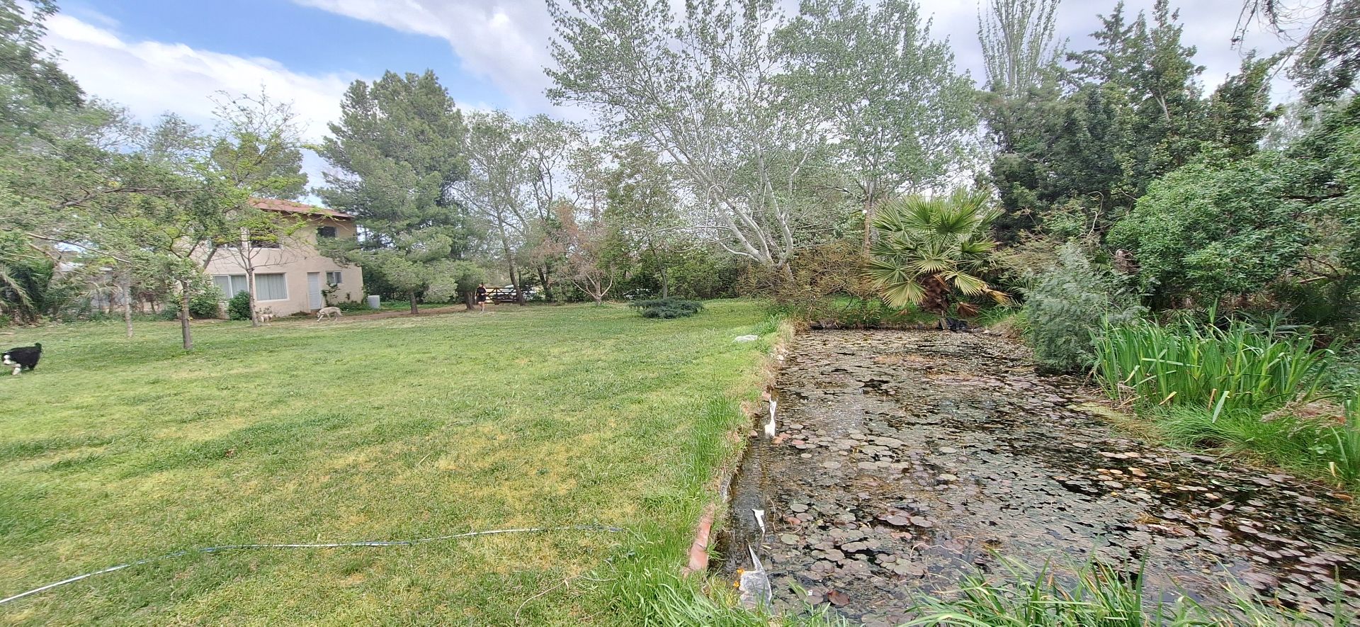 Casa en Venta en Payro 3853, Villa Belgrano, Bahía Blanca - Bahía Blanca Propiedades | SITIO OFICIAL l