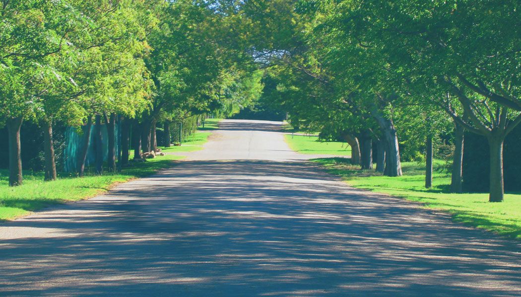Terreno en Venta en Pago Chico,  Punta Alta - Bahía Blanca Propiedades | SITIO OFICIAL l