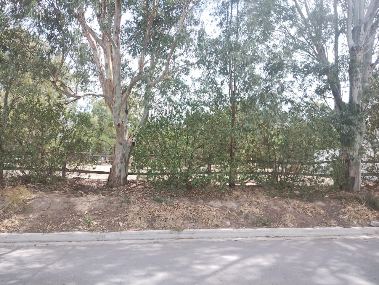 Terreno en Venta  Hipico, Bahía Blanca - Bahía Blanca Propiedades | SITIO OFICIAL l