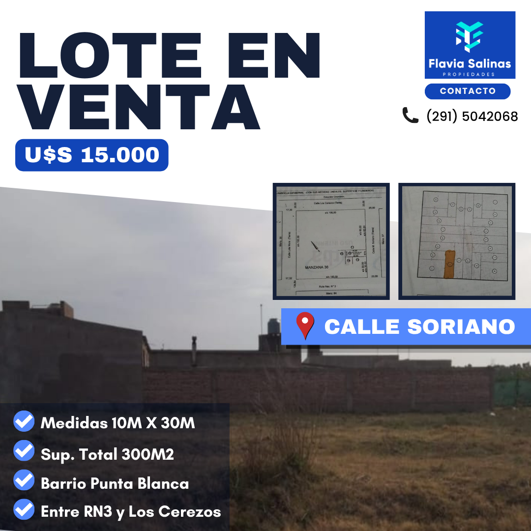 Terreno en Venta en SORIANO ,  Bahía Blanca - Bahía Blanca Propiedades | SITIO OFICIAL l