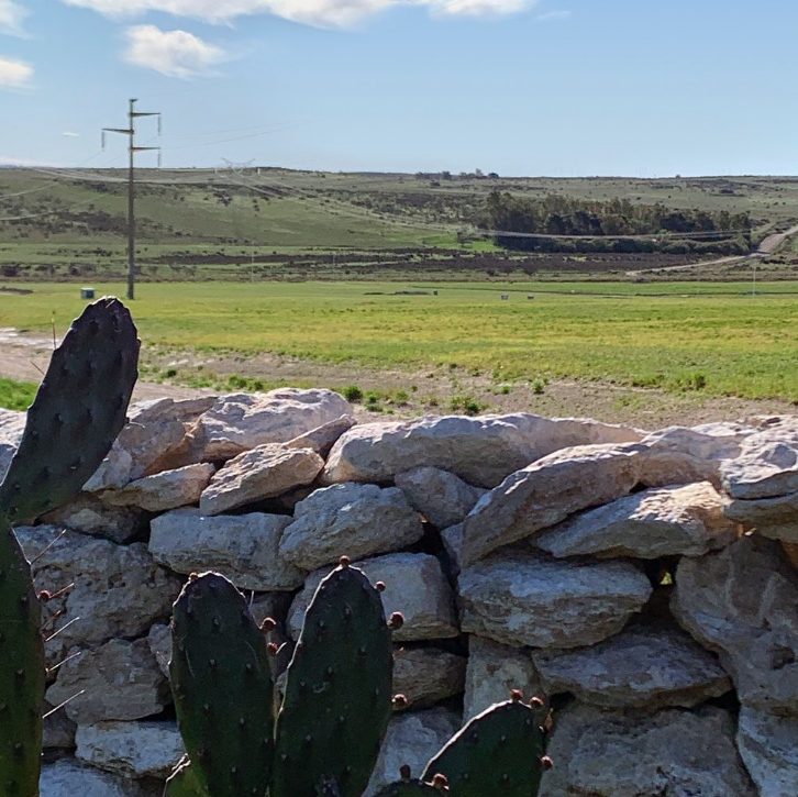 Terreno en Venta en Ruta 33 Km 10, La Huella , Bahía Blanca - Bahía Blanca Propiedades | SITIO OFICIAL l