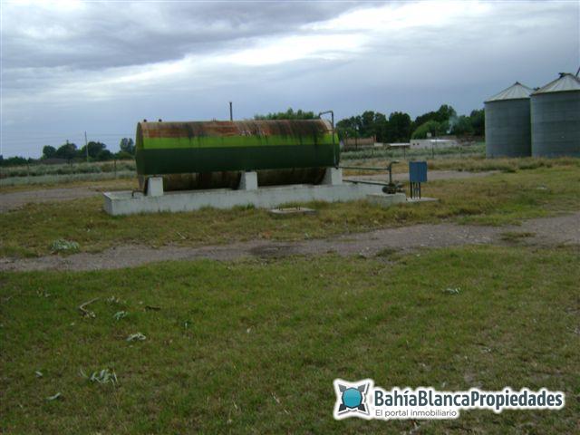 Campo  en Alquiler en ALPACHIRI (LA PAMPA),  La Pampa - Alpachiri - Bahía Blanca Propiedades | SITIO OFICIAL l