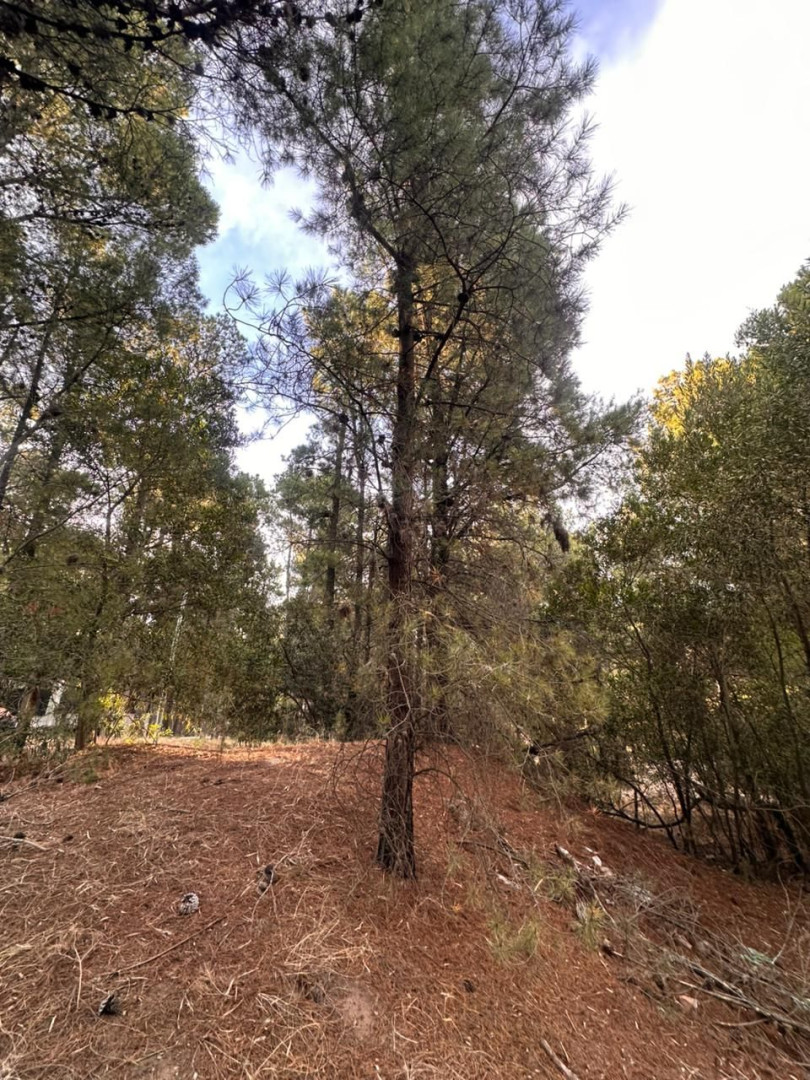Terreno en Venta en EL Chimango Esquina Bosque Alegre , Pinar del Golf, Monte Hermoso - Bahía Blanca Propiedades | SITIO OFICIAL l