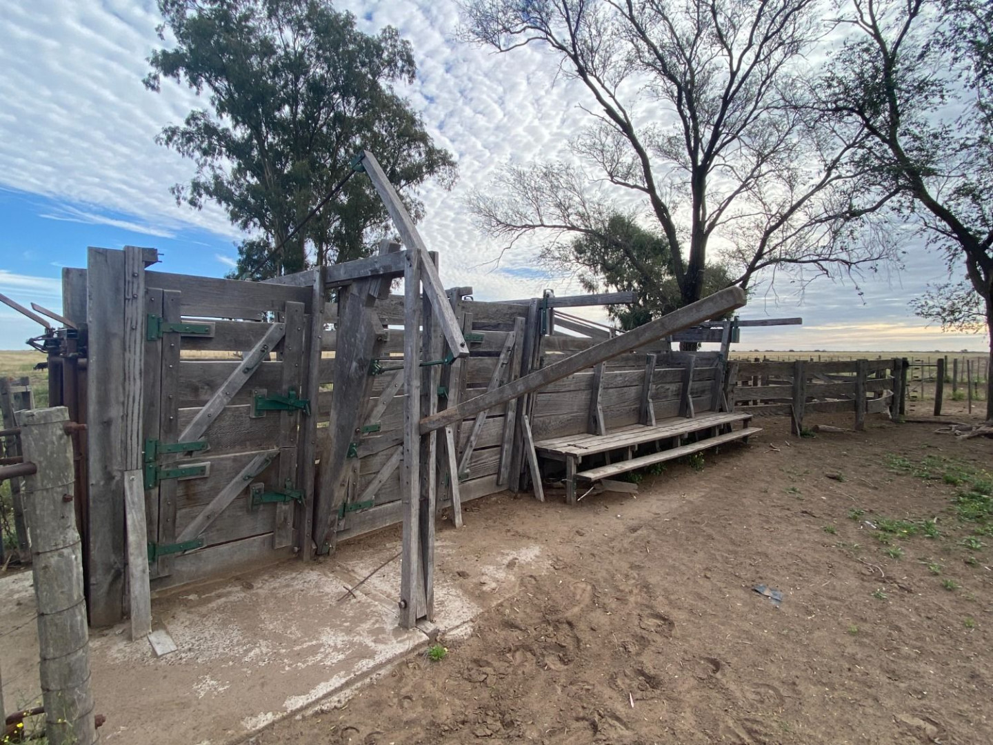 Campo  en Venta en Puan,  Puan - Bahía Blanca Propiedades | SITIO OFICIAL l