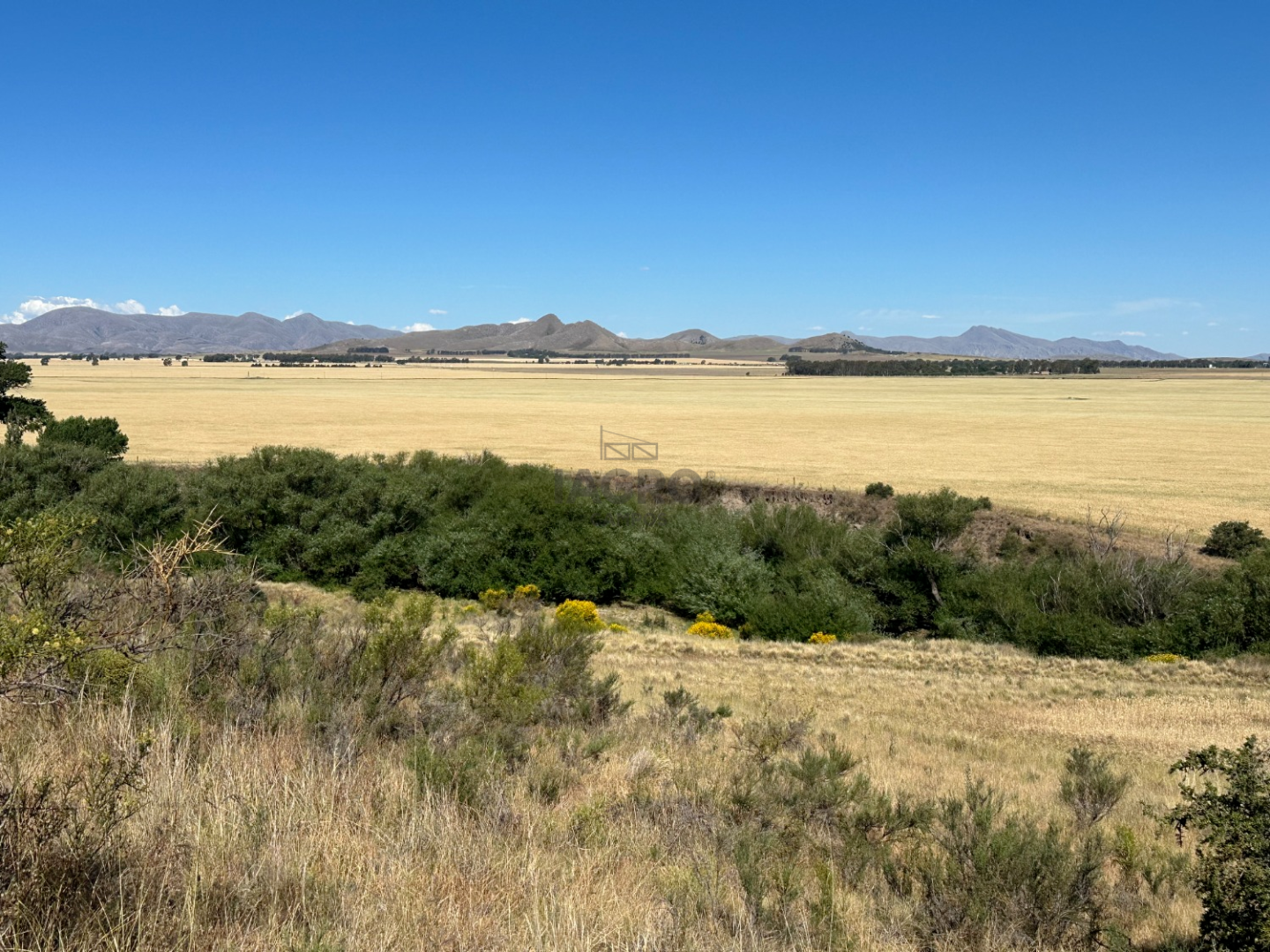 Campo  en Venta en Ruta 33,  Saavedra - Bahía Blanca Propiedades | SITIO OFICIAL l