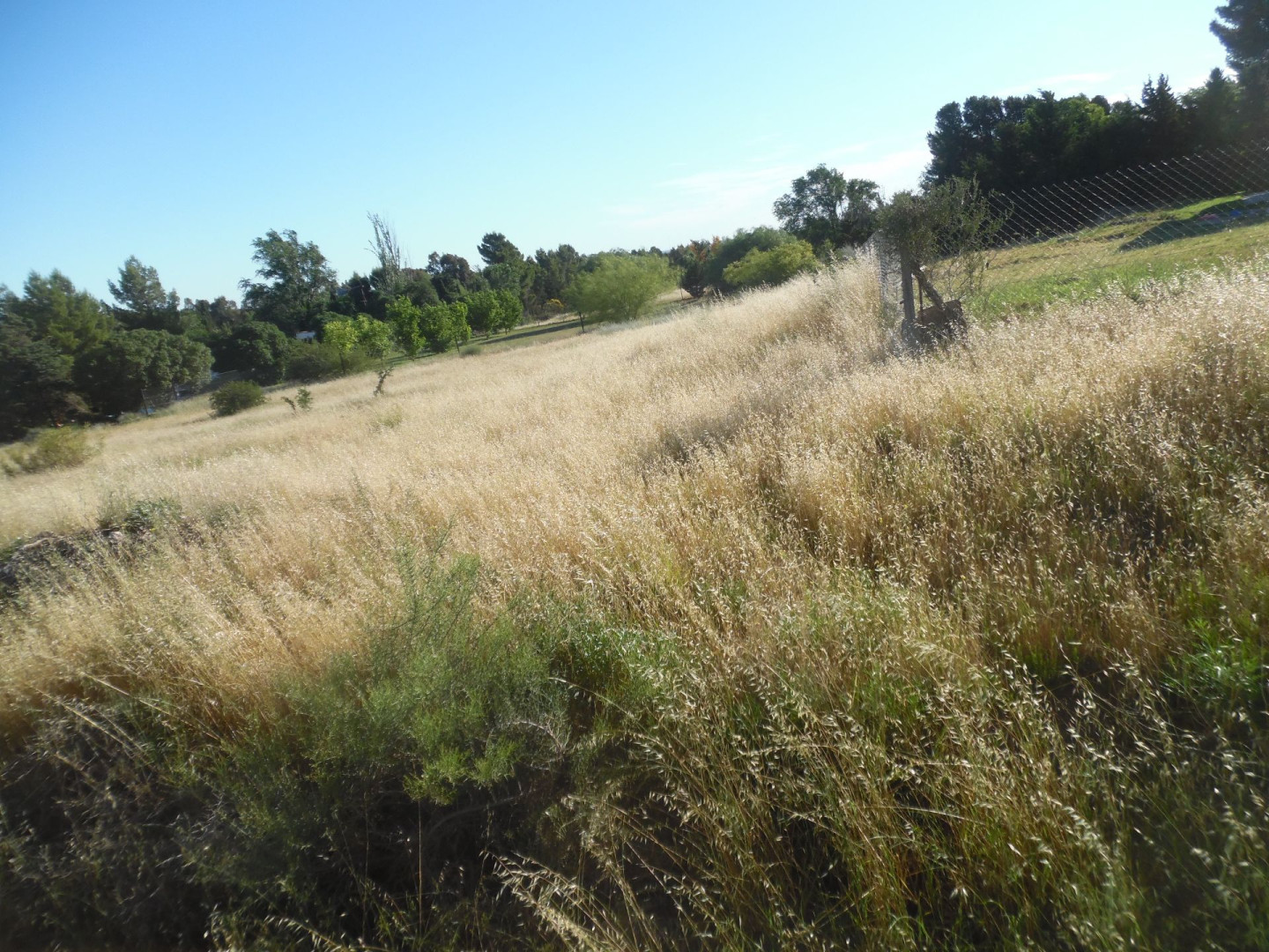Terreno en Venta en Crespi Valls 3700, Villa Belgrano, Bahía Blanca - Bahía Blanca Propiedades | SITIO OFICIAL l