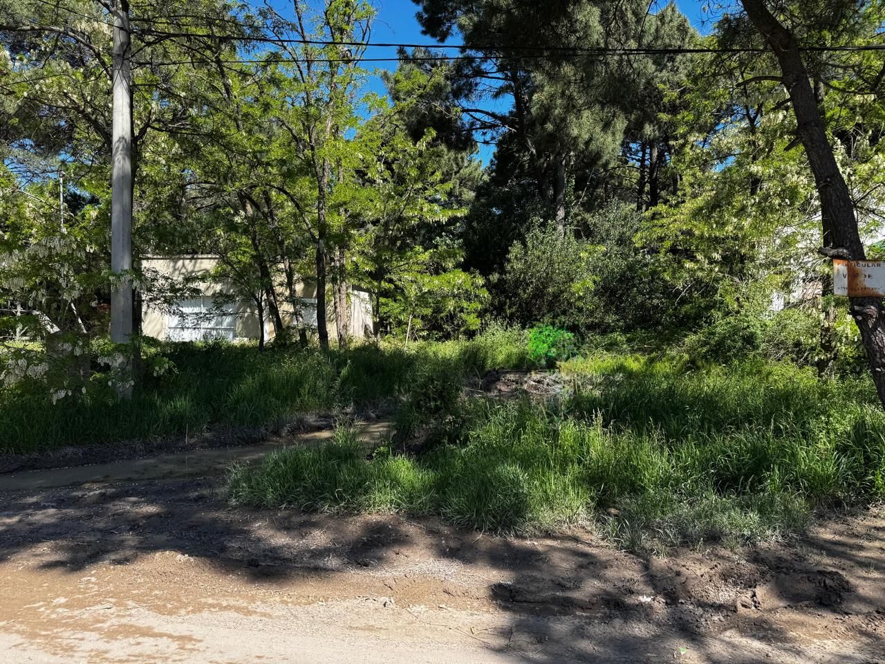Terreno en Venta en Las Ballenas Y Del Abadejo, Las Dunas, Monte Hermoso - Bahía Blanca Propiedades | SITIO OFICIAL l