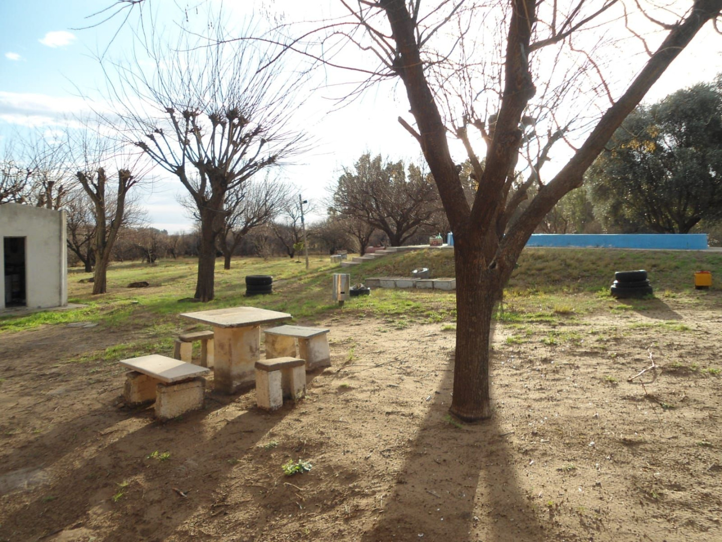 Campo  en Venta en Rn22,  Villarino - Bahía Blanca Propiedades | SITIO OFICIAL l