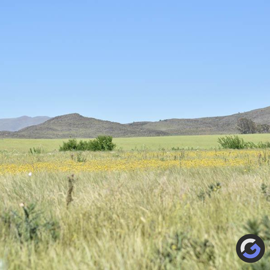 Terreno en Venta en Ruta Provincial 72, Las Verbenas , Sierra de  la Ventana - Bahía Blanca Propiedades | SITIO OFICIAL l