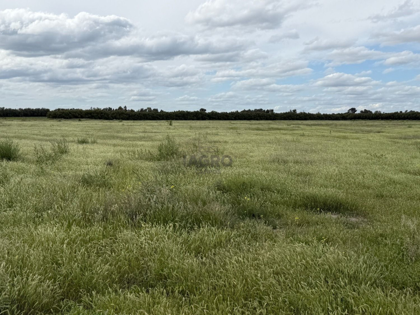 Campo  en Venta en Ruta 3,  Villarino - Bahía Blanca Propiedades | SITIO OFICIAL l