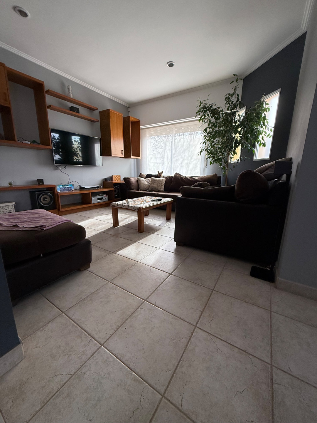 Casa en Venta en Humberto Primo Y Lamadrid,  Puan - Bahía Blanca Propiedades | SITIO OFICIAL l