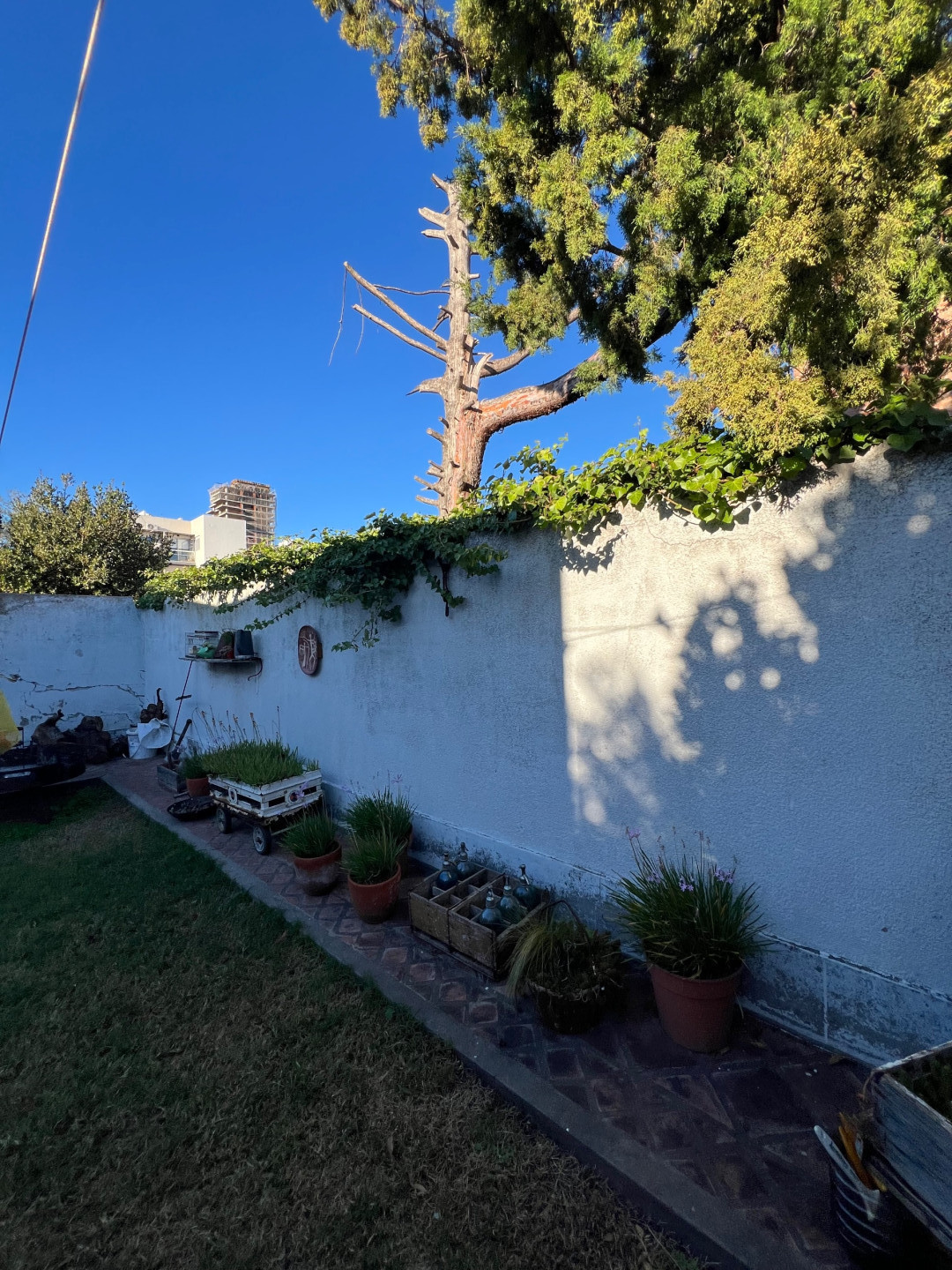 Casa en Venta en Rodríguez 1127, Palihue, Bahía Blanca - Bahía Blanca Propiedades | SITIO OFICIAL l