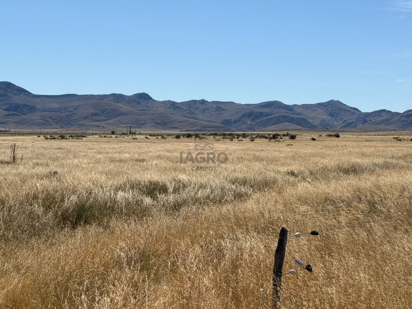 Campo  en Venta en Partido De Saavedra,  Saavedra - Bahía Blanca Propiedades | SITIO OFICIAL l