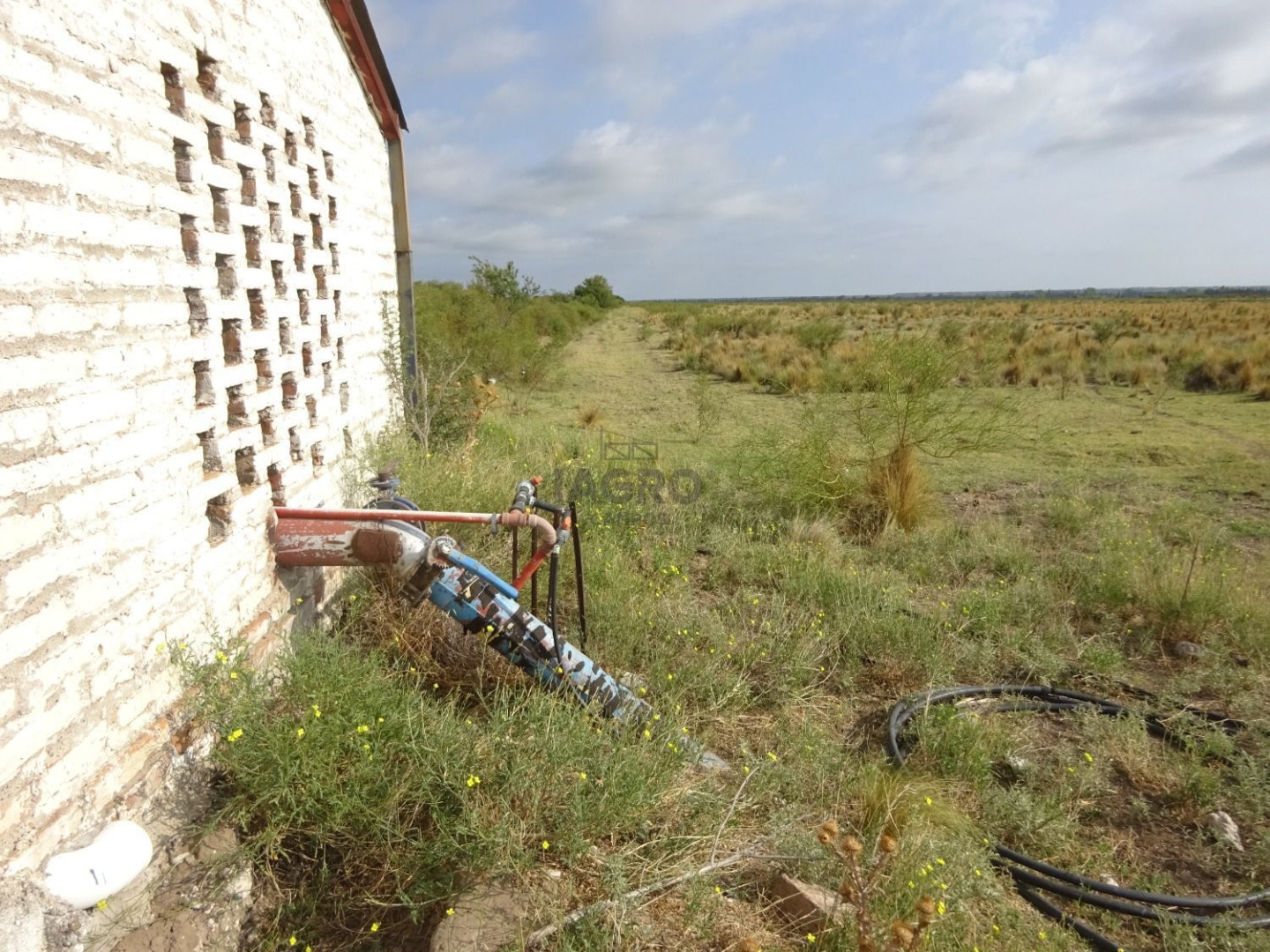 Campo  en Venta en Ruta Nacional 22,  Rio Colorado - Bahía Blanca Propiedades | SITIO OFICIAL l