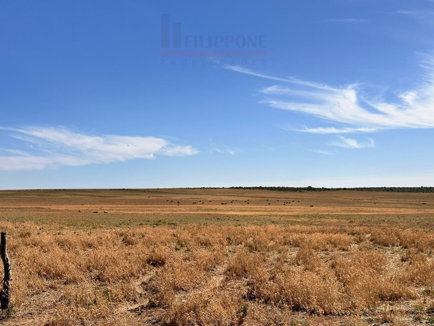 Campo  en Venta en Ruta 35,  Bahía Blanca - Bahía Blanca Propiedades | SITIO OFICIAL l