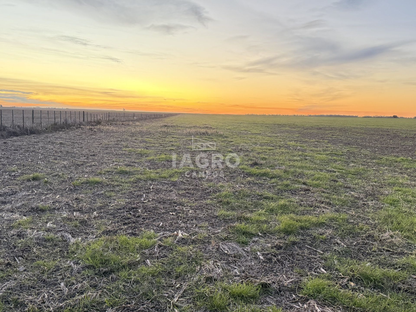 Campo  en Venta en Claudio Molina,  Tres Arroyos - Bahía Blanca Propiedades | SITIO OFICIAL l