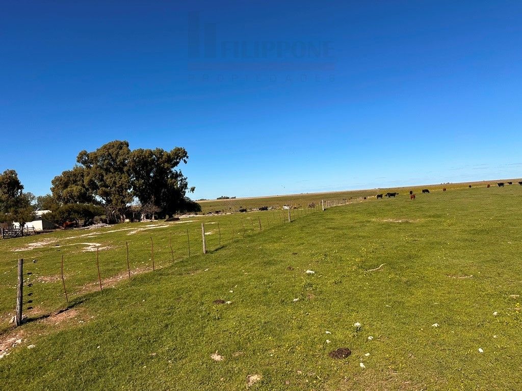 Campo  en Venta en Ruta 35 - Bahía Blanca Propiedades | SITIO OFICIAL l