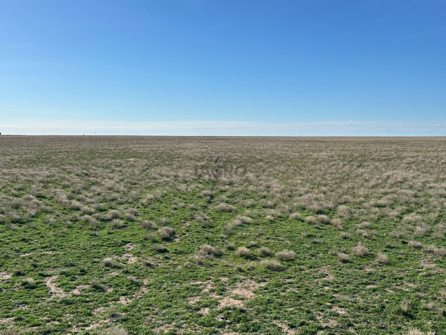 Campo  en Venta en Partido De Villarino,  Villarino - Bahía Blanca Propiedades | SITIO OFICIAL l