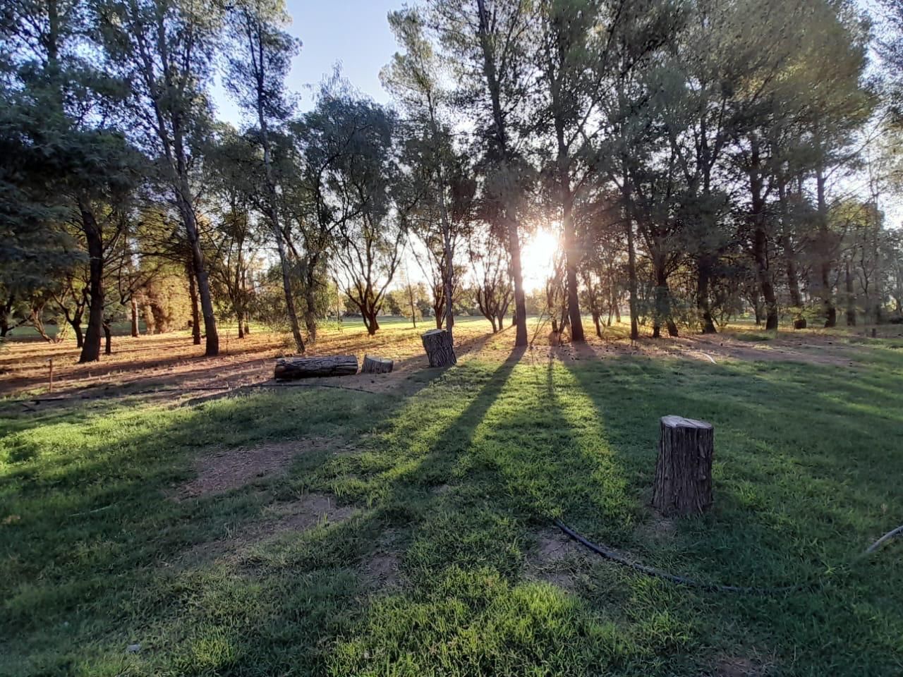 Casa en Venta en Ayacucho Y Lucia Miranda, Los Chañares, Bahía Blanca - Bahía Blanca Propiedades | SITIO OFICIAL l