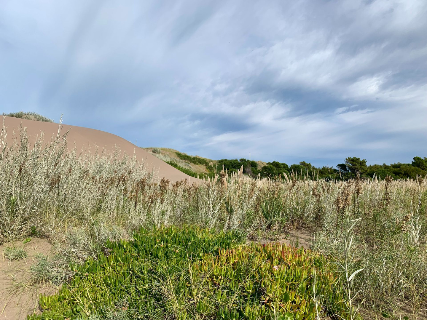 Terreno en Venta en San Bernardo Y Las Toninas, El Sauce, Monte Hermoso - Bahía Blanca Propiedades | SITIO OFICIAL l