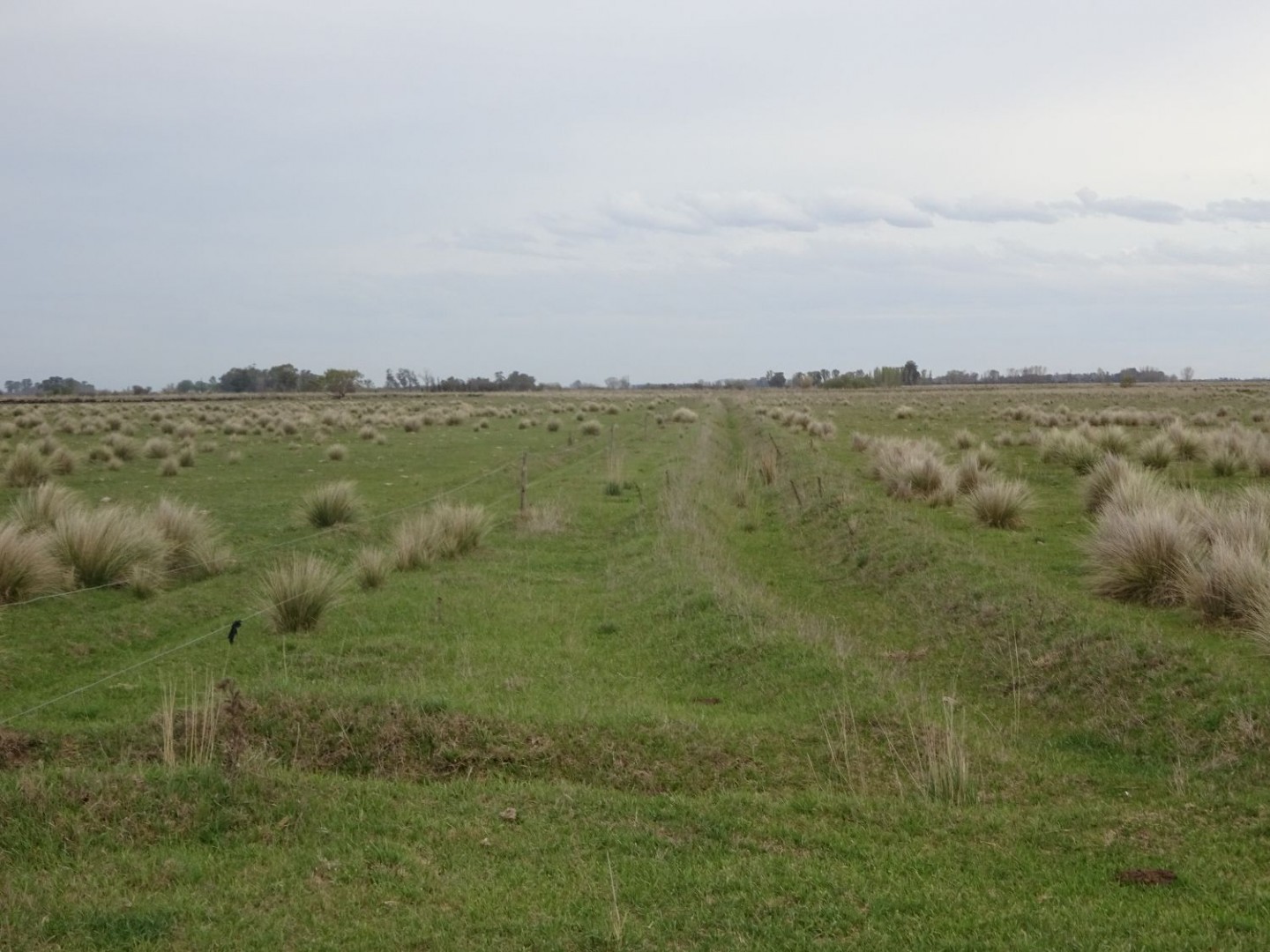 Campo  en Venta en Partido De Villarino ,  Villarino - Bahía Blanca Propiedades | SITIO OFICIAL l