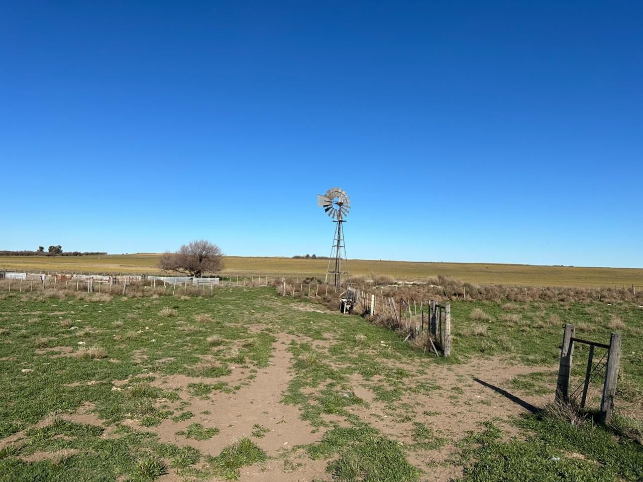 Campo  en Venta en A 4 Kilómetros De La Ruta 3.,  Teniente Origone - Bahía Blanca Propiedades | SITIO OFICIAL l