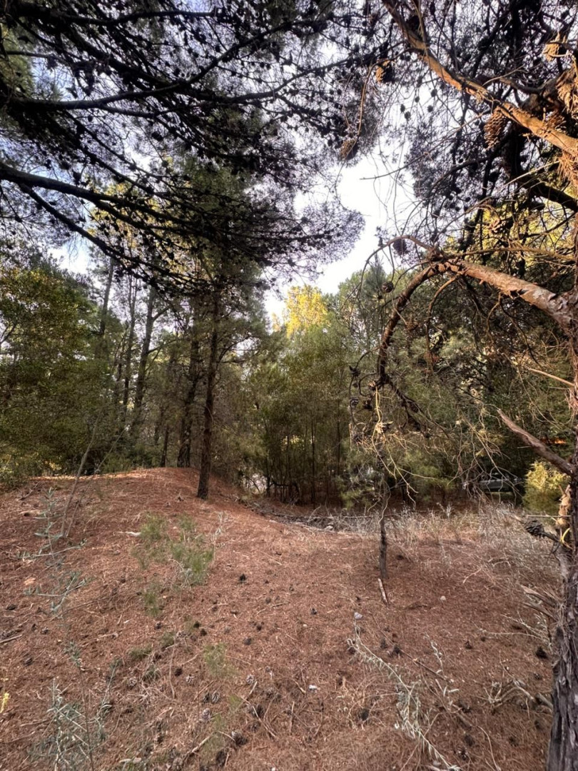 Terreno en Venta en EL Chimango Esquina Bosque Alegre , Pinar del Golf, Monte Hermoso - Bahía Blanca Propiedades | SITIO OFICIAL l