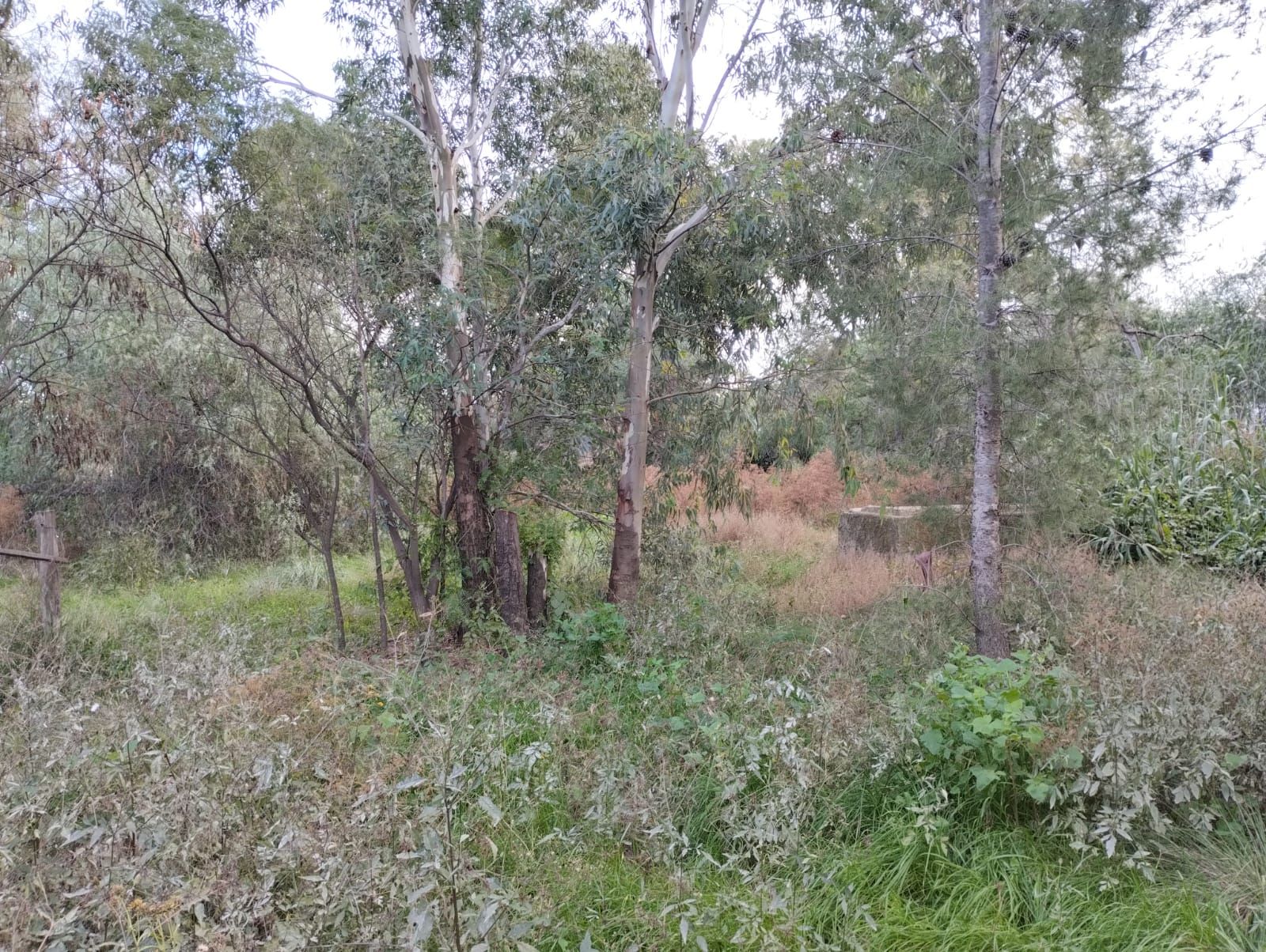 Terreno en Venta en Gualeguay Y Baigorria, San Miguel, Bahía Blanca - Bahía Blanca Propiedades | SITIO OFICIAL l