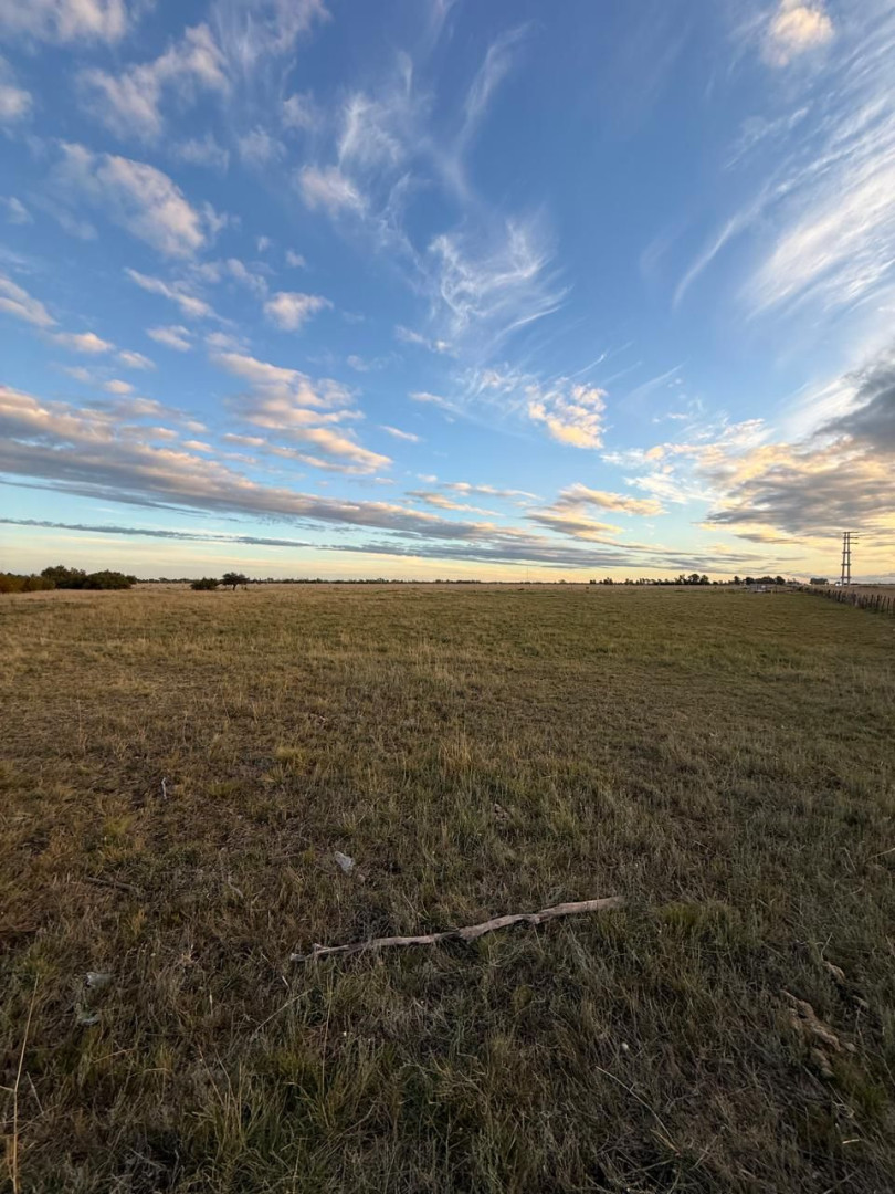 Terreno en Venta en RUTA NACIONAL 3 KM 694,  Bahía Blanca - Bahía Blanca Propiedades | SITIO OFICIAL l