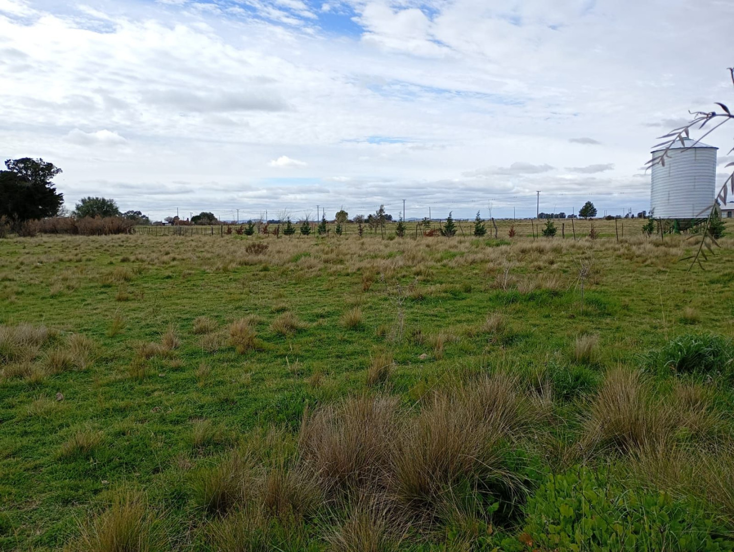 Terreno en Venta en Brown Sin Numero Cabildo,  Cabildo - Bahía Blanca Propiedades | SITIO OFICIAL l