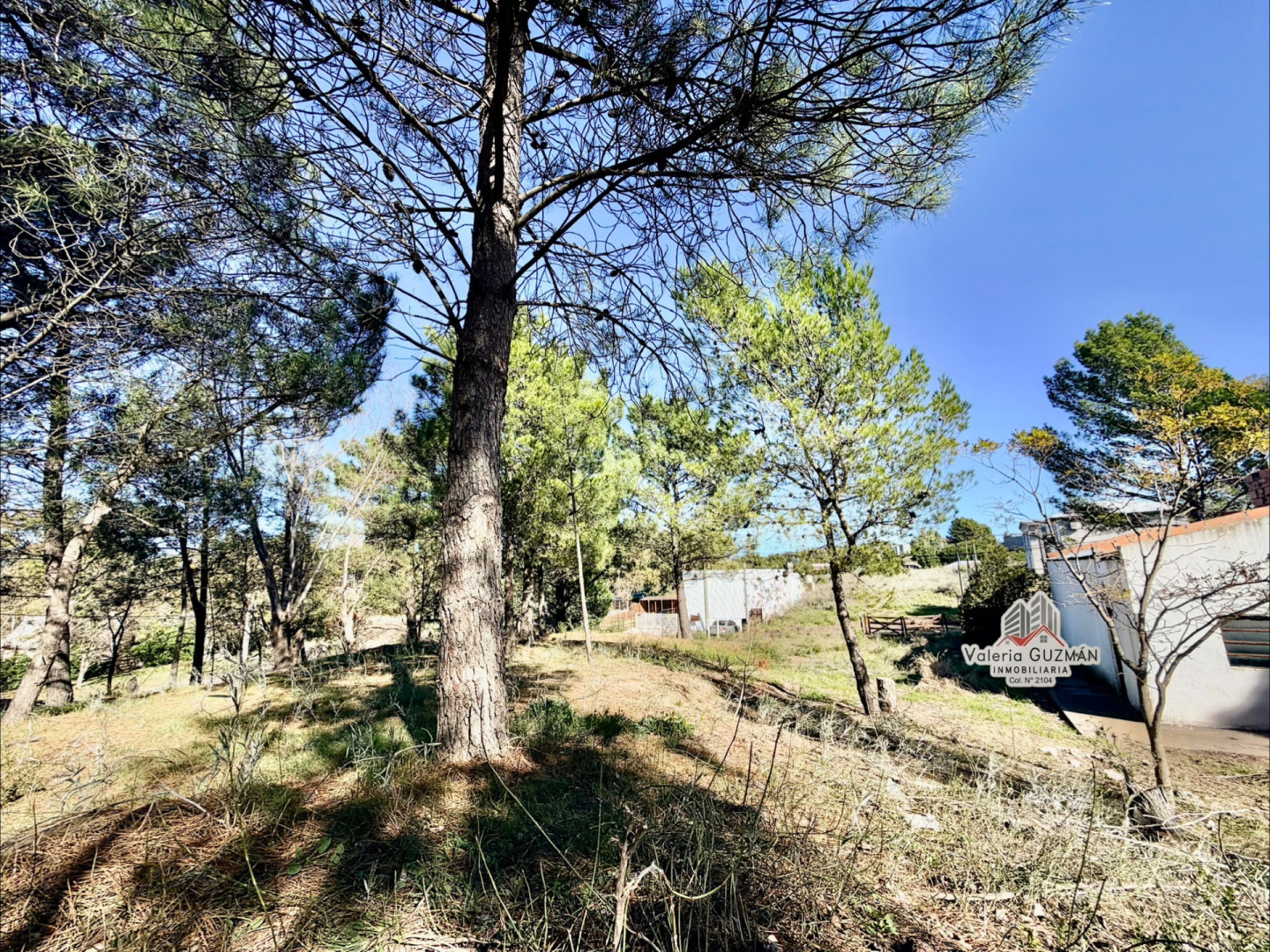 Terreno en Venta en La Rioja Y Río Salado, Dufaur, Monte Hermoso - Bahía Blanca Propiedades | SITIO OFICIAL l