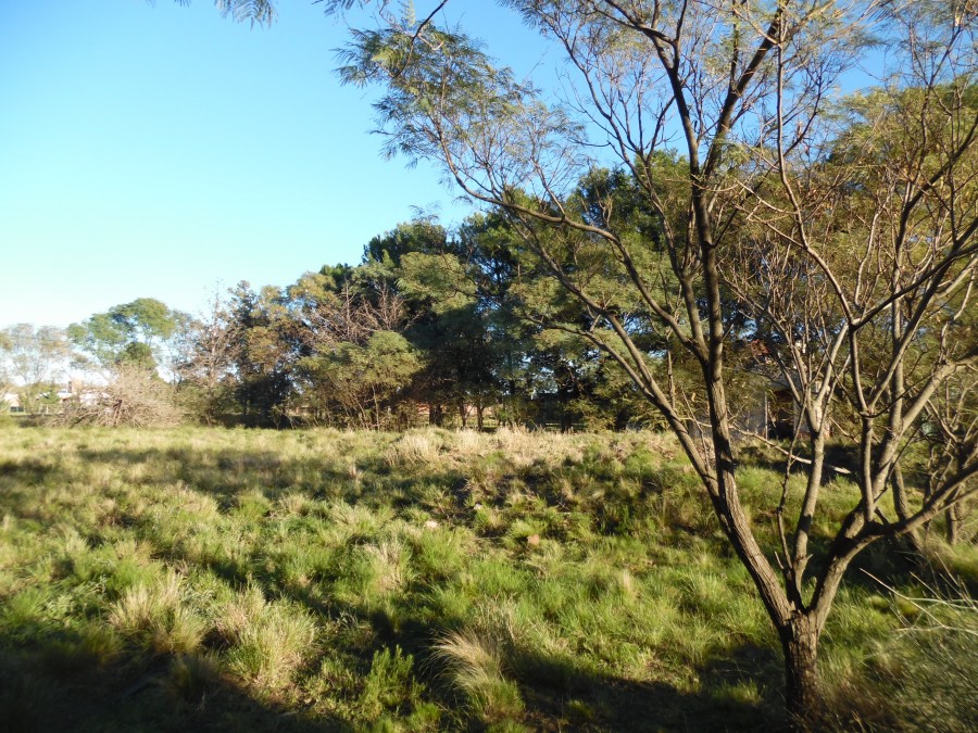 Terreno en Venta en Barrio Los Muñecos, Los Muñecos, Bahía Blanca - Bahía Blanca Propiedades | SITIO OFICIAL l