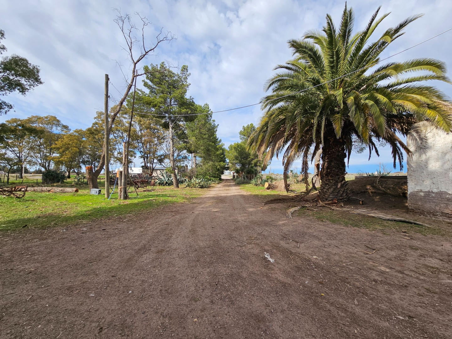 Campo  en Venta en  Ruta Nacional 22 Km. 735,  Medanos - Bahía Blanca Propiedades | SITIO OFICIAL l