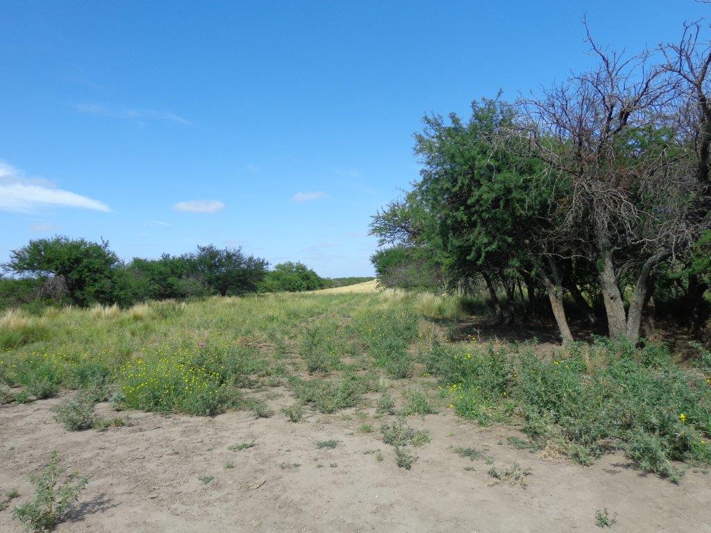 Campo  en Venta en Algarrobo Buenos Aires,  Algarrobo - Bahía Blanca Propiedades | SITIO OFICIAL l