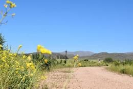 Terreno en Venta en LOTE 75, Las Verbenas , Sierra de  la Ventana - Bahía Blanca Propiedades | SITIO OFICIAL l