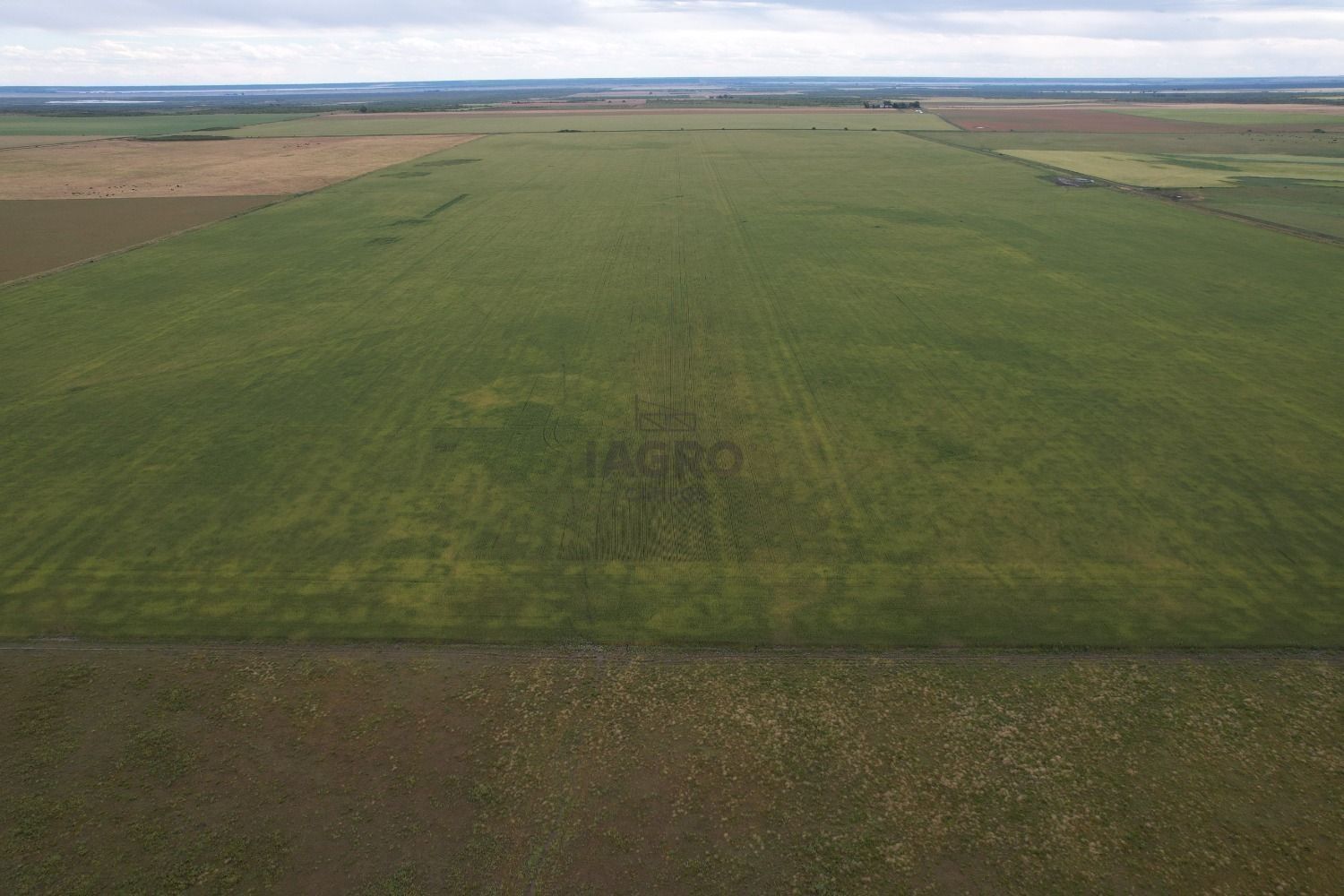 Campo  en Venta en Ruta 35,  Villarino - Bahía Blanca Propiedades | SITIO OFICIAL l