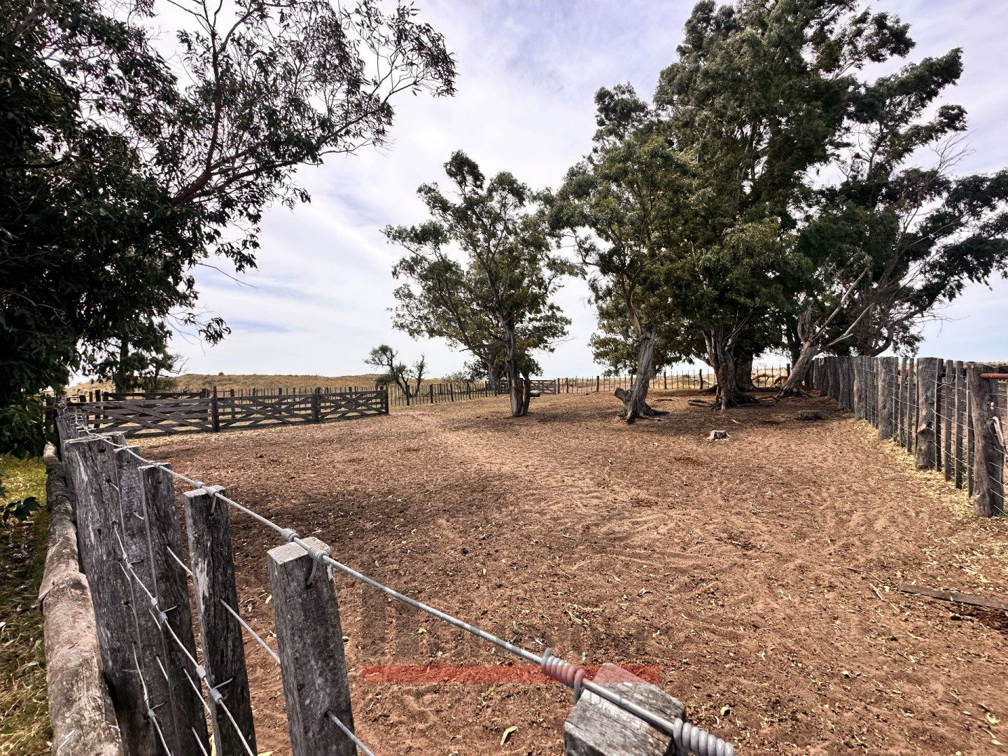Campo  en Venta   Coronel Dorrego - Bahía Blanca Propiedades | SITIO OFICIAL l