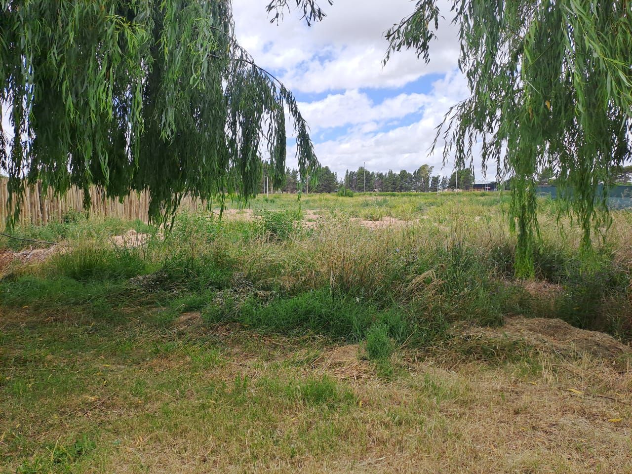 Local en Venta en CHARCAS Y ROGATIS, Patagonia, Bahía Blanca - Bahía Blanca Propiedades | SITIO OFICIAL l