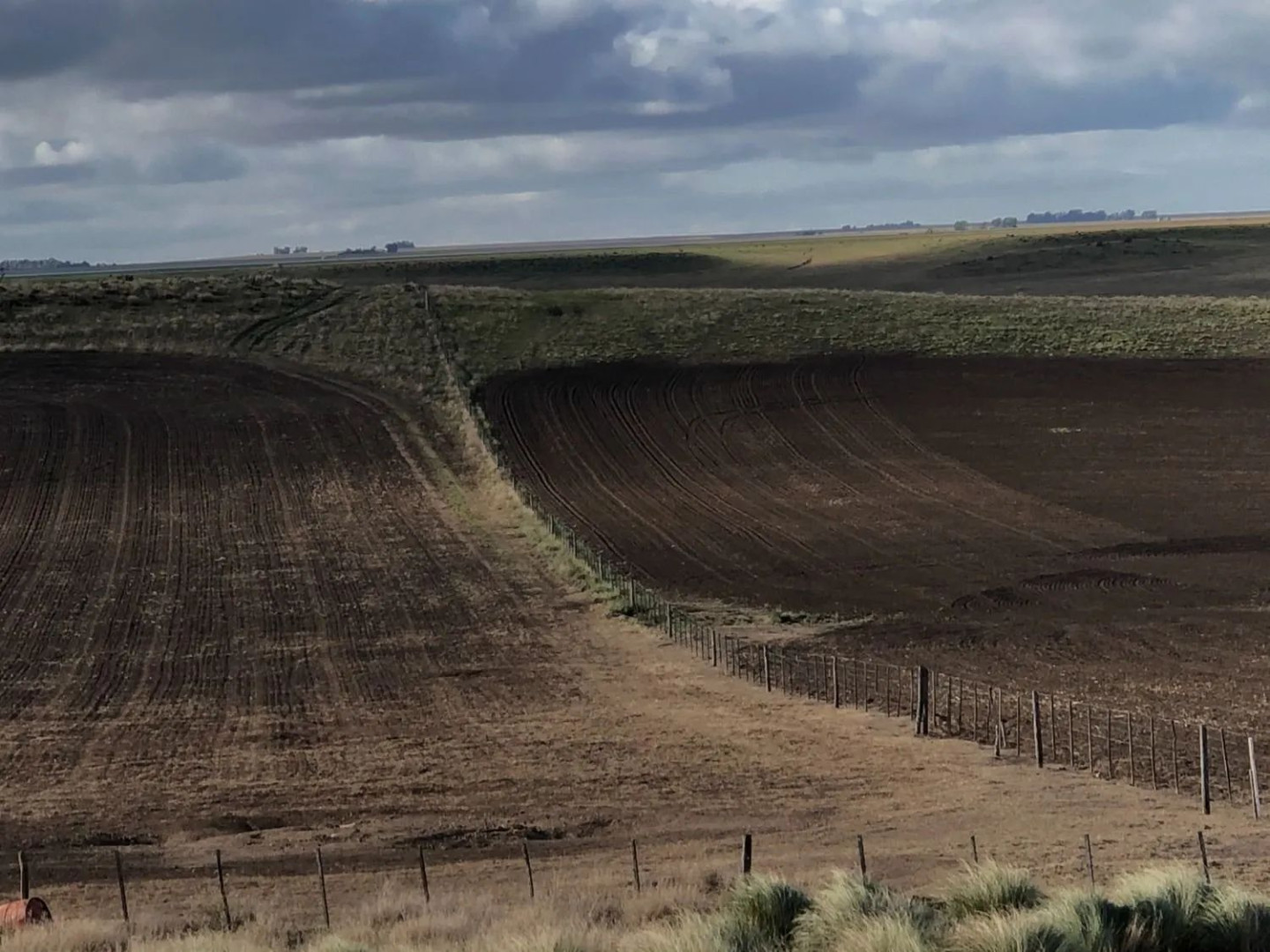 Campo  en Venta en Coronel Dorrego,  Coronel Dorrego - Bahía Blanca Propiedades | SITIO OFICIAL l