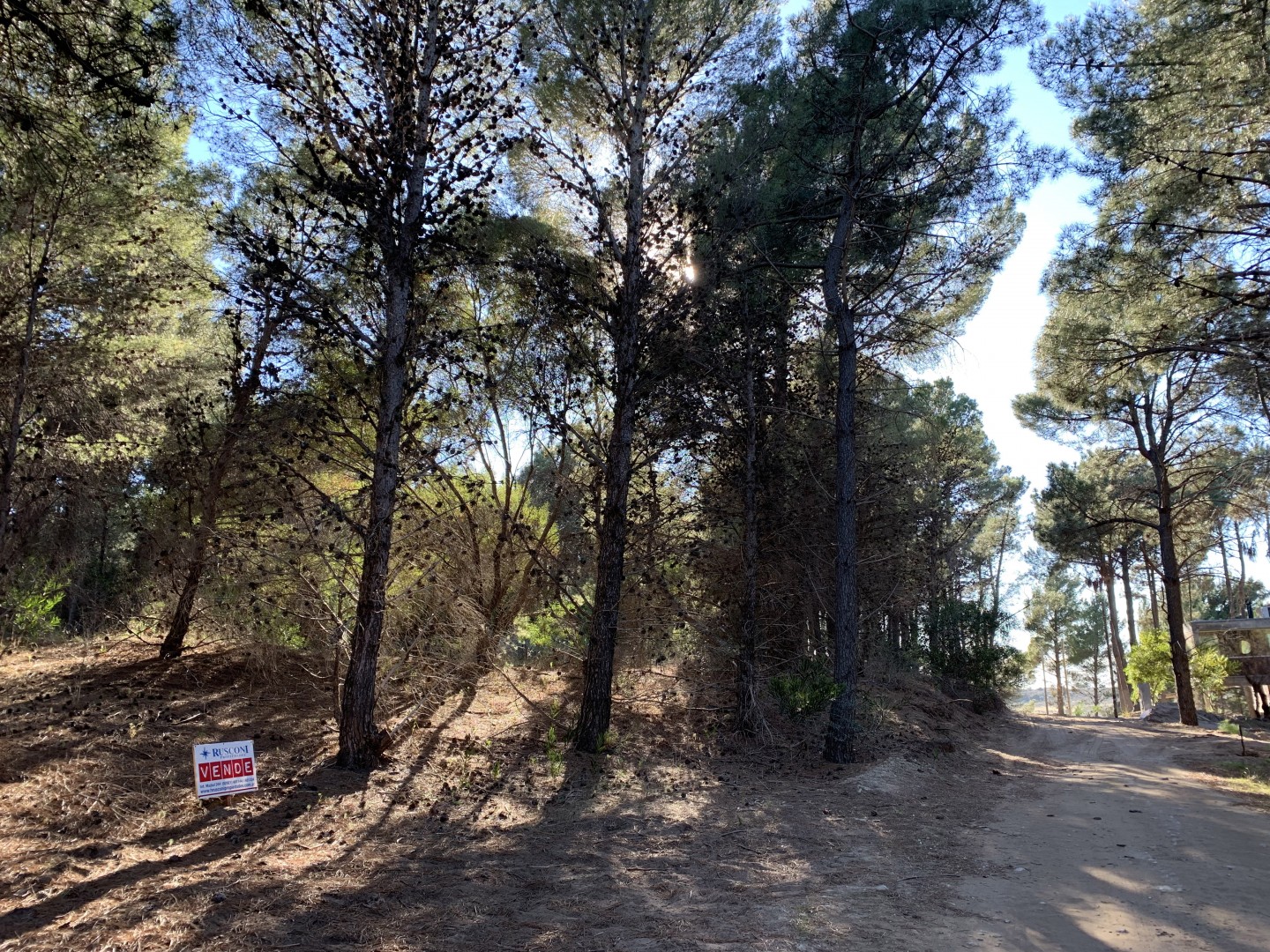 Terreno en Venta en Pinar Del Golf,  Monte Hermoso - Bahía Blanca Propiedades | SITIO OFICIAL l