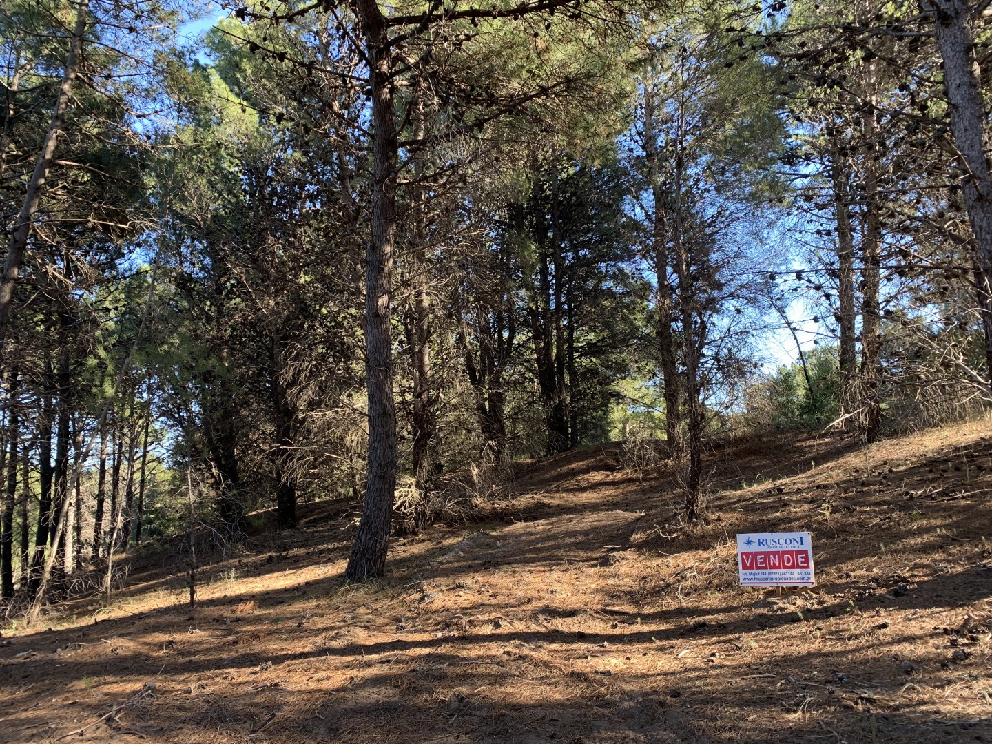 Terreno en Venta en Pinar Del Golf,  Monte Hermoso - Bahía Blanca Propiedades | SITIO OFICIAL l